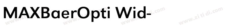 MAXBaerOpti Wid字体转换
